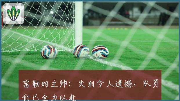 富勒姆主帅：失利令人遗憾，队员们已全力以赴