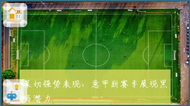 莱切强势表现，意甲新赛季展现黑马潜力